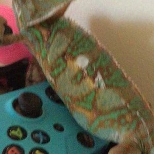 Meet your Posher, Abby